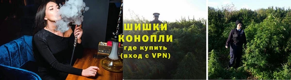 шишки Балабаново