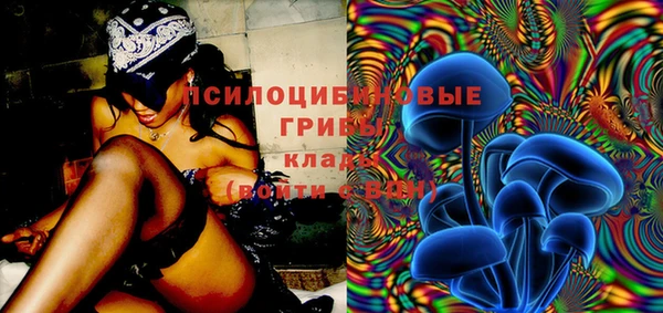 тгк Покровск