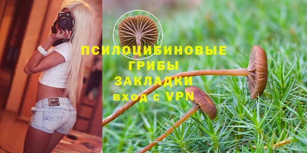 ALPHA PVP Баксан